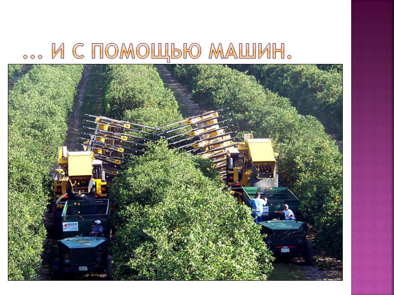 ... и с помощью машин.